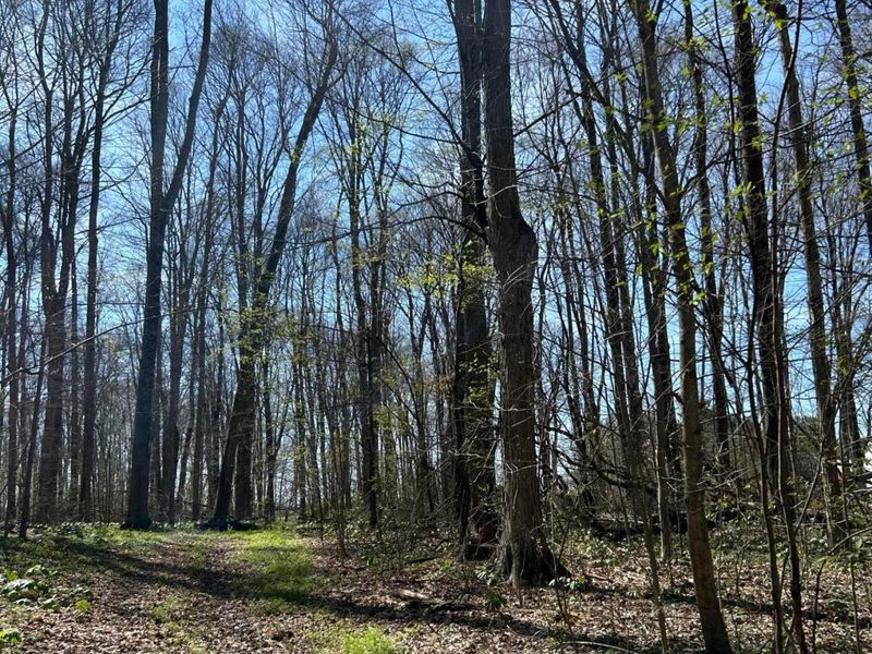 0 County Road 14 , Mount Gilead, OH 43338 Photo 16