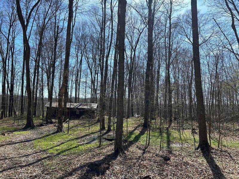 0 County Road 14 , Mount Gilead, OH 43338 Photo 18
