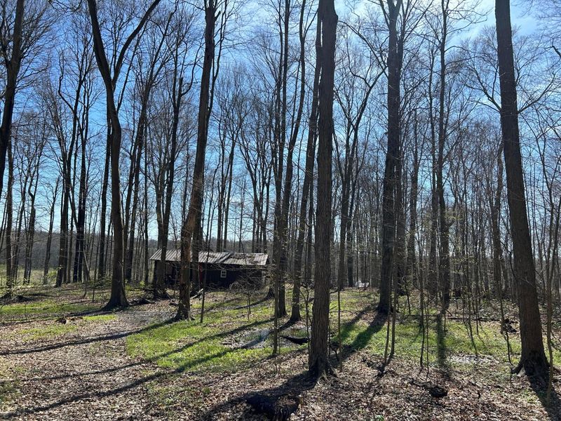 0 County Road 14 , Mount Gilead, OH 43338 Photo 19