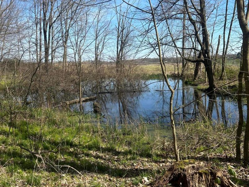 0 County Road 14 , Mount Gilead, OH 43338 Photo 2