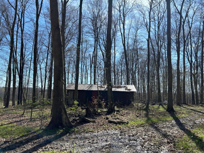 0 County Road 14 , Mount Gilead, OH 43338 Photo 20