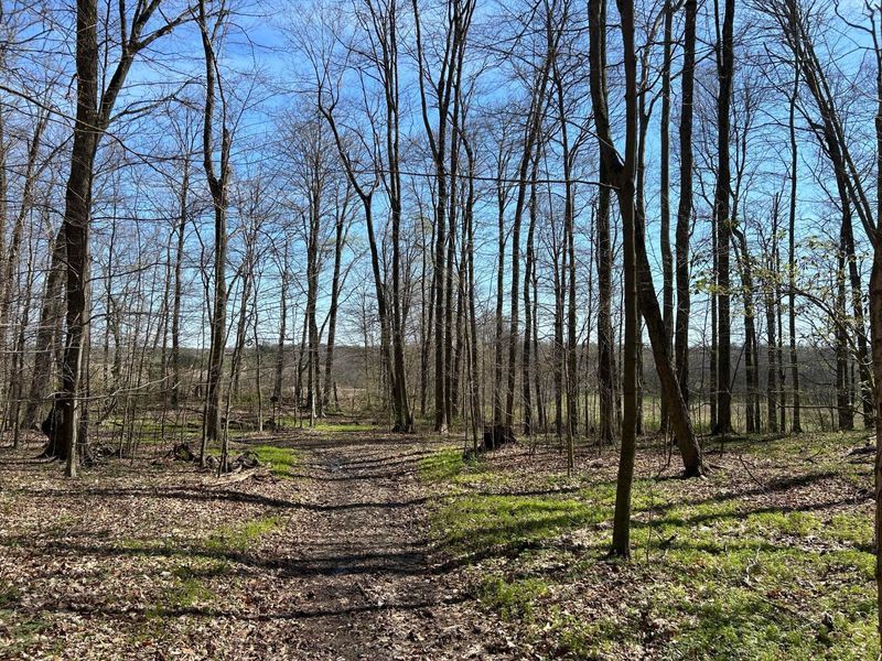 0 County Road 14 , Mount Gilead, OH 43338 Photo 21