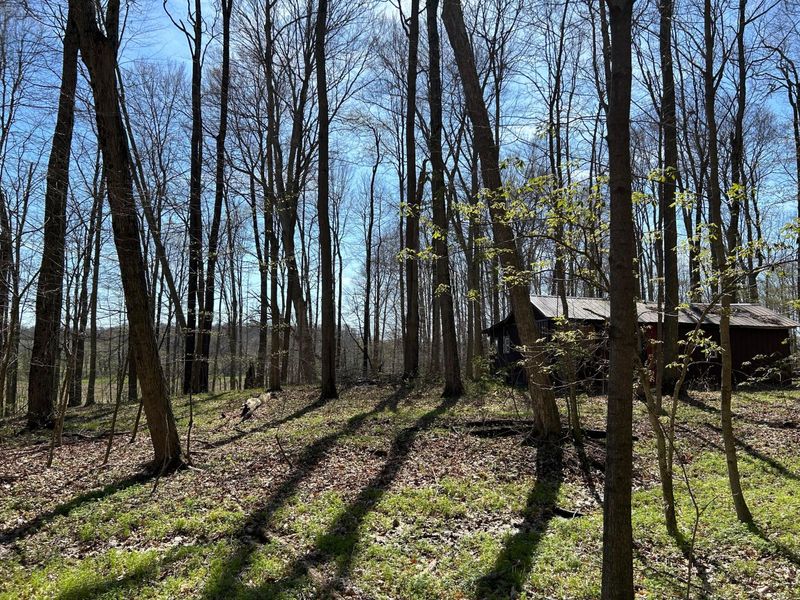 0 County Road 14 , Mount Gilead, OH 43338 Photo 22