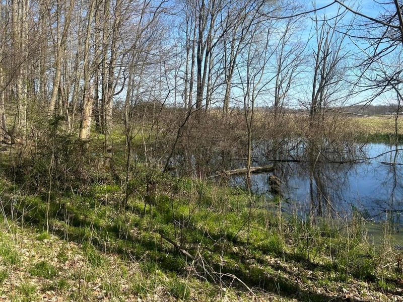 0 County Road 14 , Mount Gilead, OH 43338 Photo 23