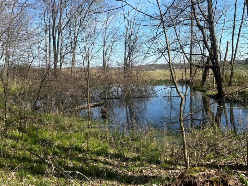 0 County Road 14 , Mount Gilead, OH 43338 Photo 24