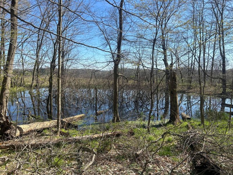 0 County Road 14 , Mount Gilead, OH 43338 Photo 25