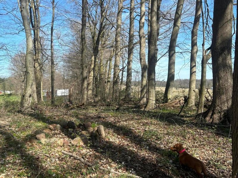 0 County Road 14 , Mount Gilead, OH 43338 Photo 27