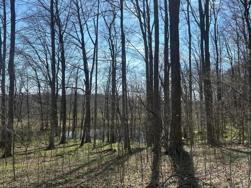 0 County Road 14 , Mount Gilead, OH 43338 Photo 28