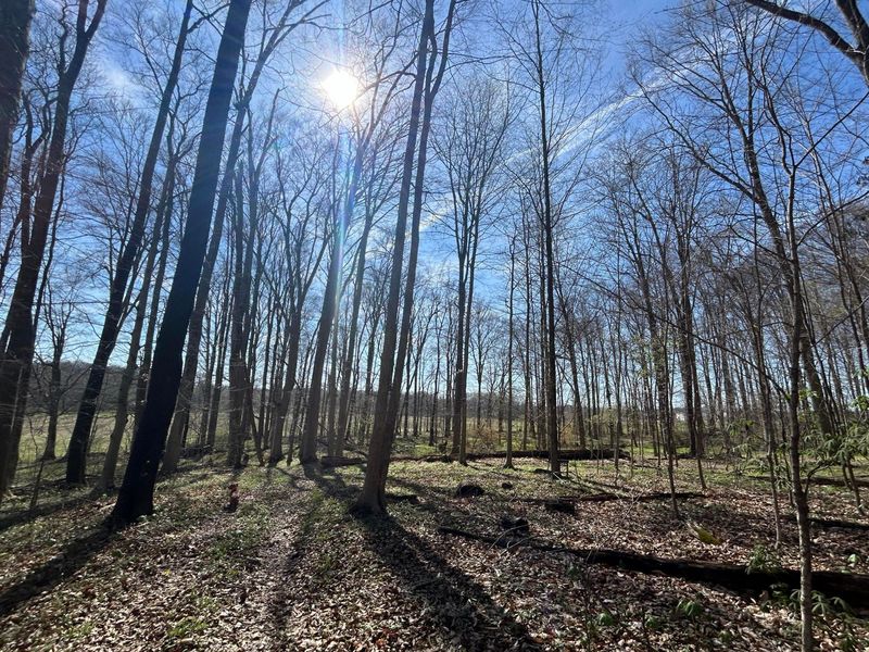 0 County Road 14 , Mount Gilead, OH 43338 Photo 32