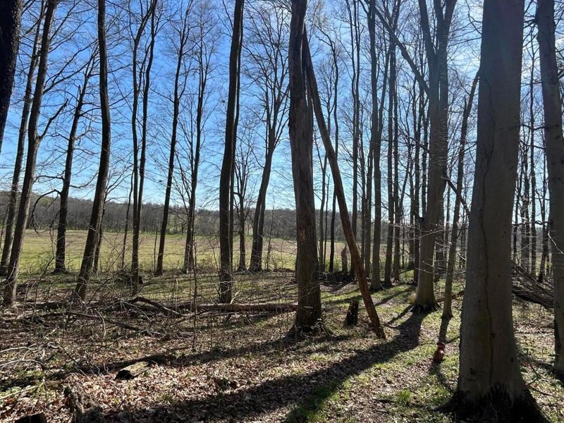 0 County Road 14 , Mount Gilead, OH 43338 Photo 33