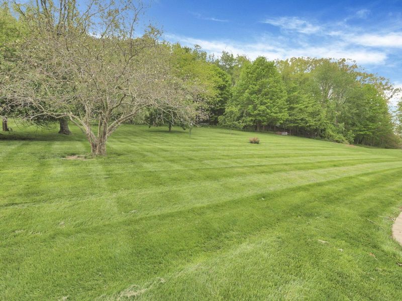 148 Brennan Drive, Granville, OH 43023 Photo 84