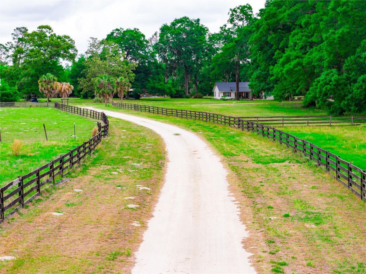 27084 29 Road, Branford, FL 32008 Photo