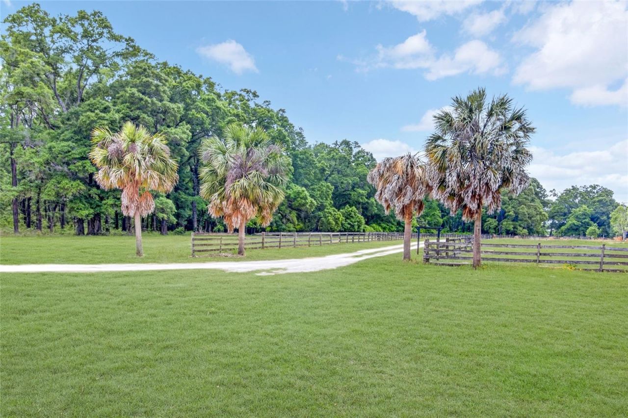 27084 29 Road, Branford, FL 32008 Photo