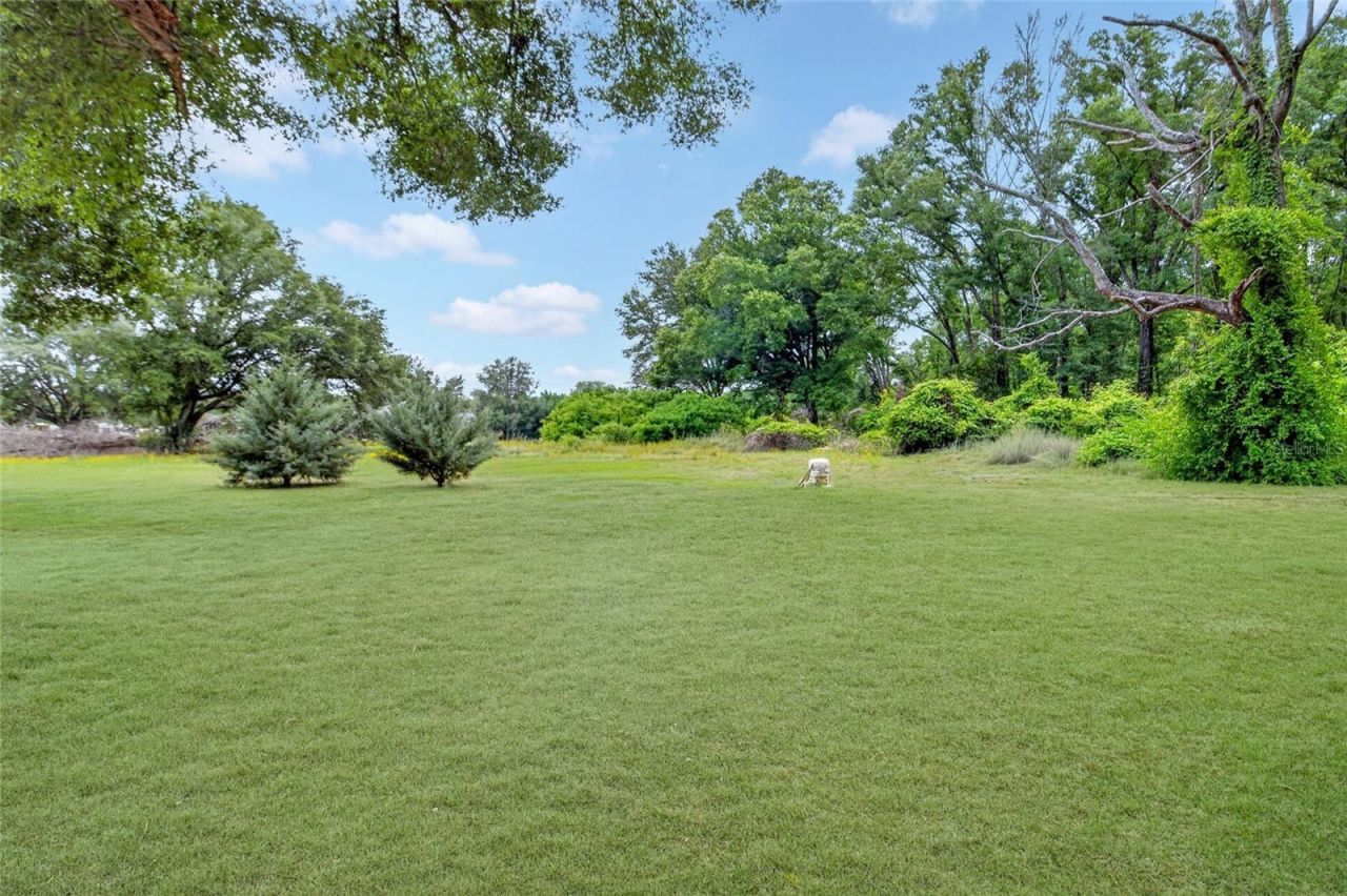 27084 29 Road, Branford, FL 32008 Photo