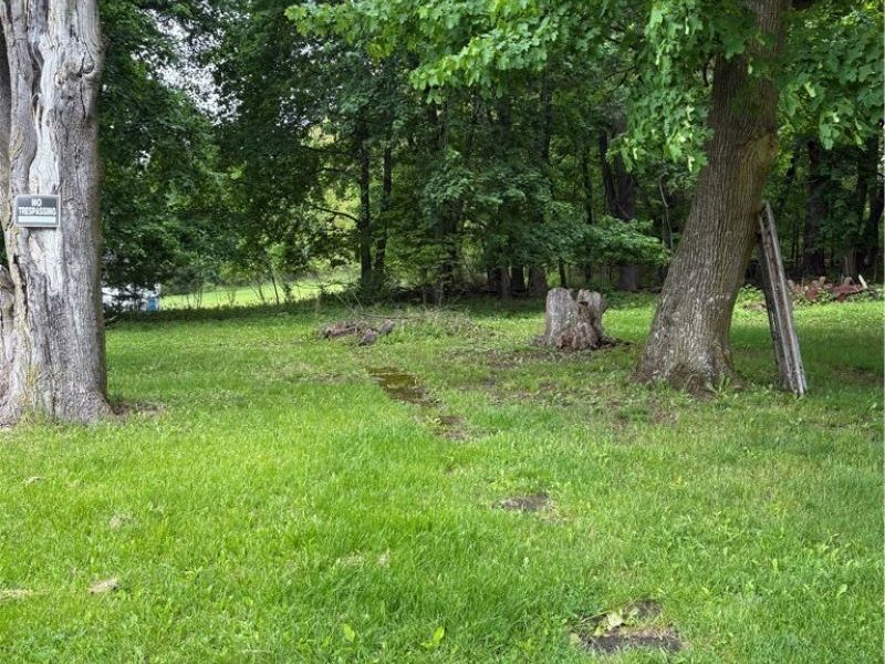 325 E High Street, Leetonia, OH 44431 Photo 5