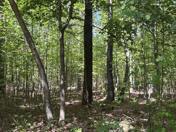 Tract 1 Foxfire LN , Bedford, VA 24523