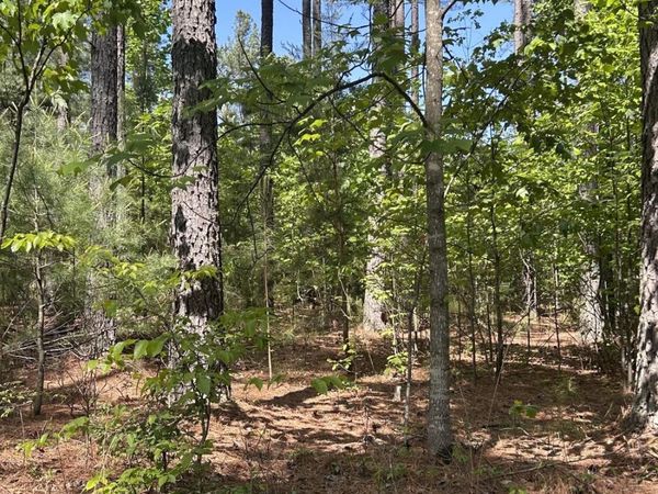 Tract 2 Foxfire LN , Bedford, VA 24523