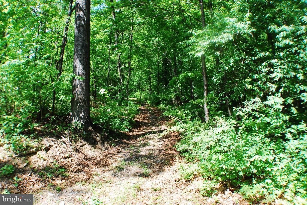 Lot 153 Babbs Mountain Rd, Winchester, VA 22603 Main Photo