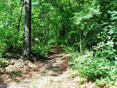 lot 153 BABBS MOUNTAIN RD, WINCHESTER, VA 22603