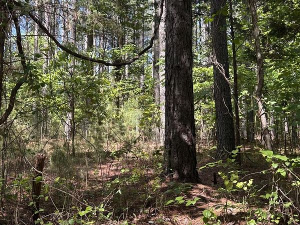 Tract 3 Foxfire LN , Bedford, VA 24523