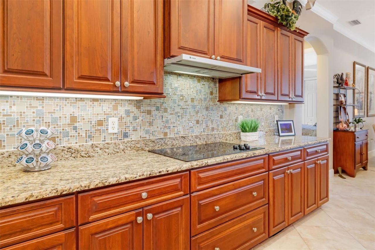 11427 Savannah Lakes Drive, Parrish, FL 34219 Photo