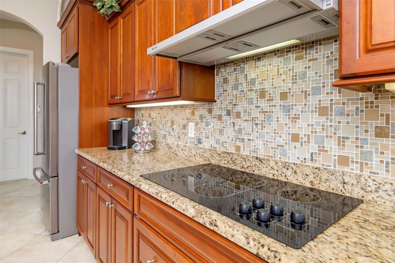 11427 Savannah Lakes Drive, Parrish, FL 34219 Photo