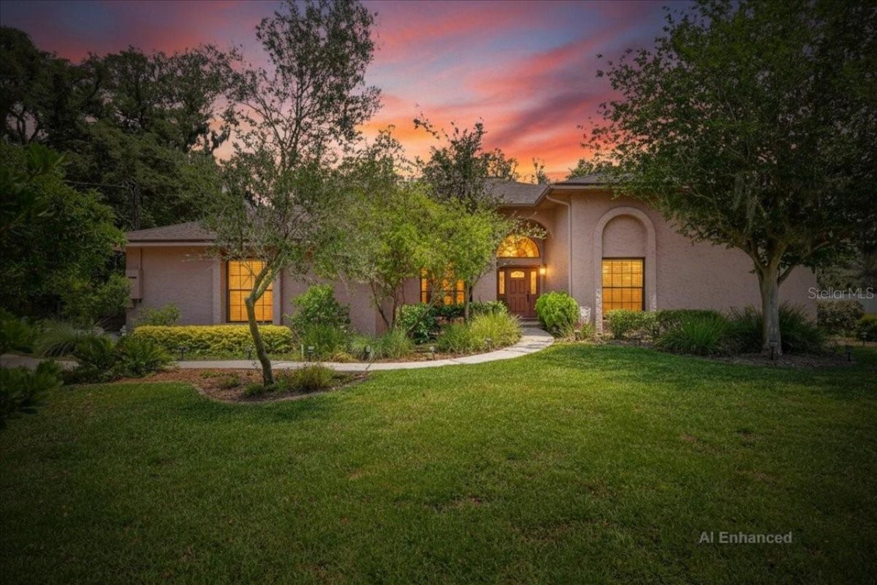 11214 Leprechaun Drive, Riverview, FL 33569 Photo