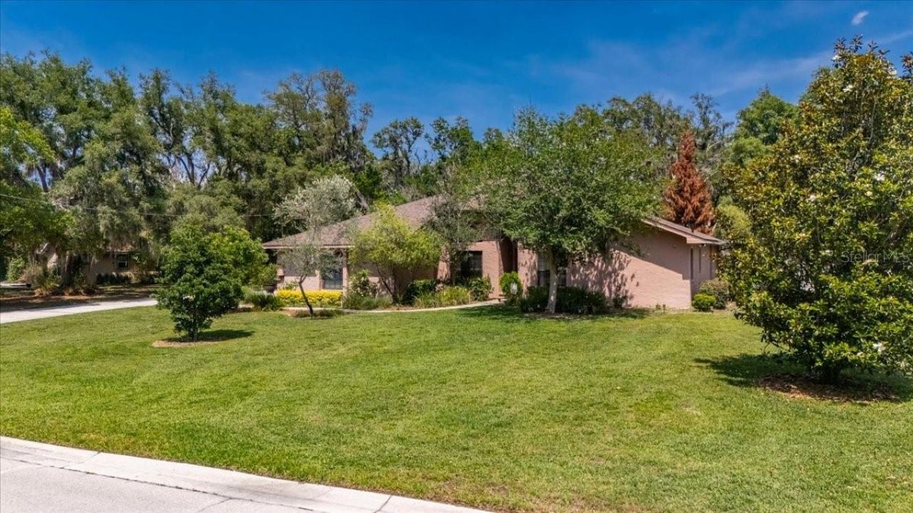 11214 Leprechaun Drive, Riverview, FL 33569 Photo