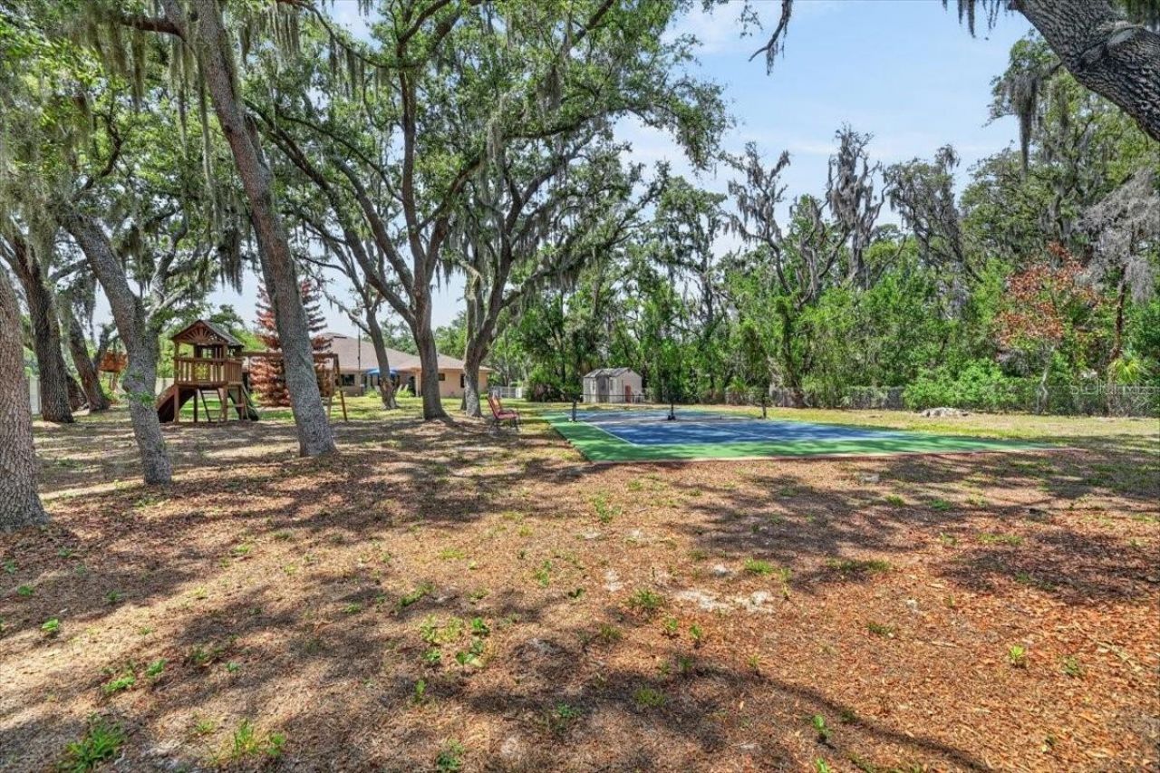 11214 Leprechaun Drive, Riverview, FL 33569 Photo