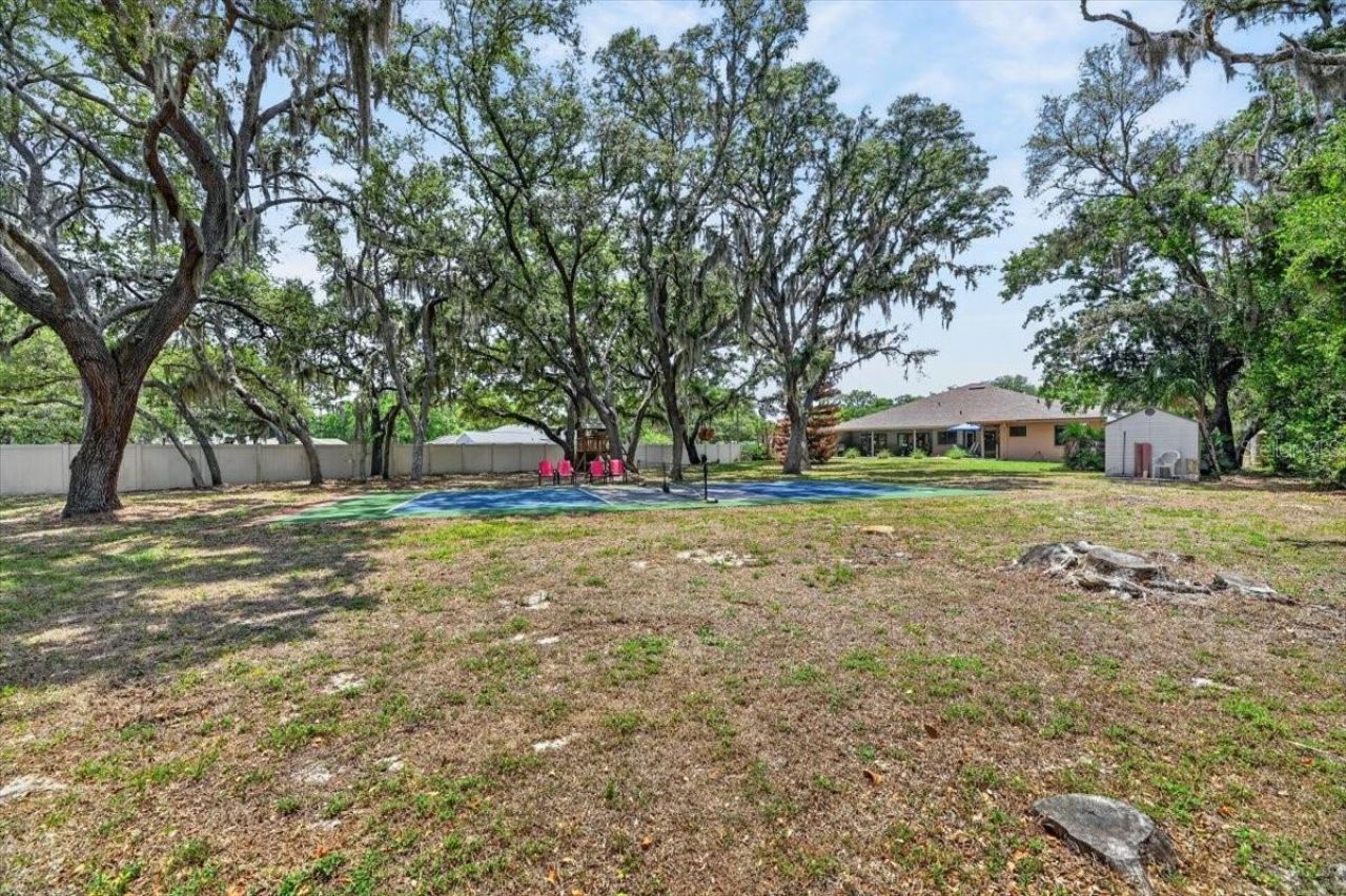 11214 Leprechaun Drive, Riverview, FL 33569 Photo