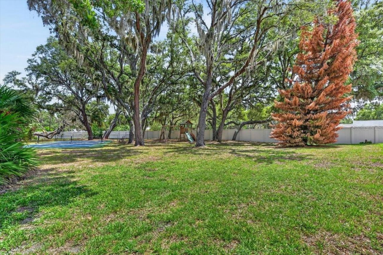 11214 Leprechaun Drive, Riverview, FL 33569 Photo