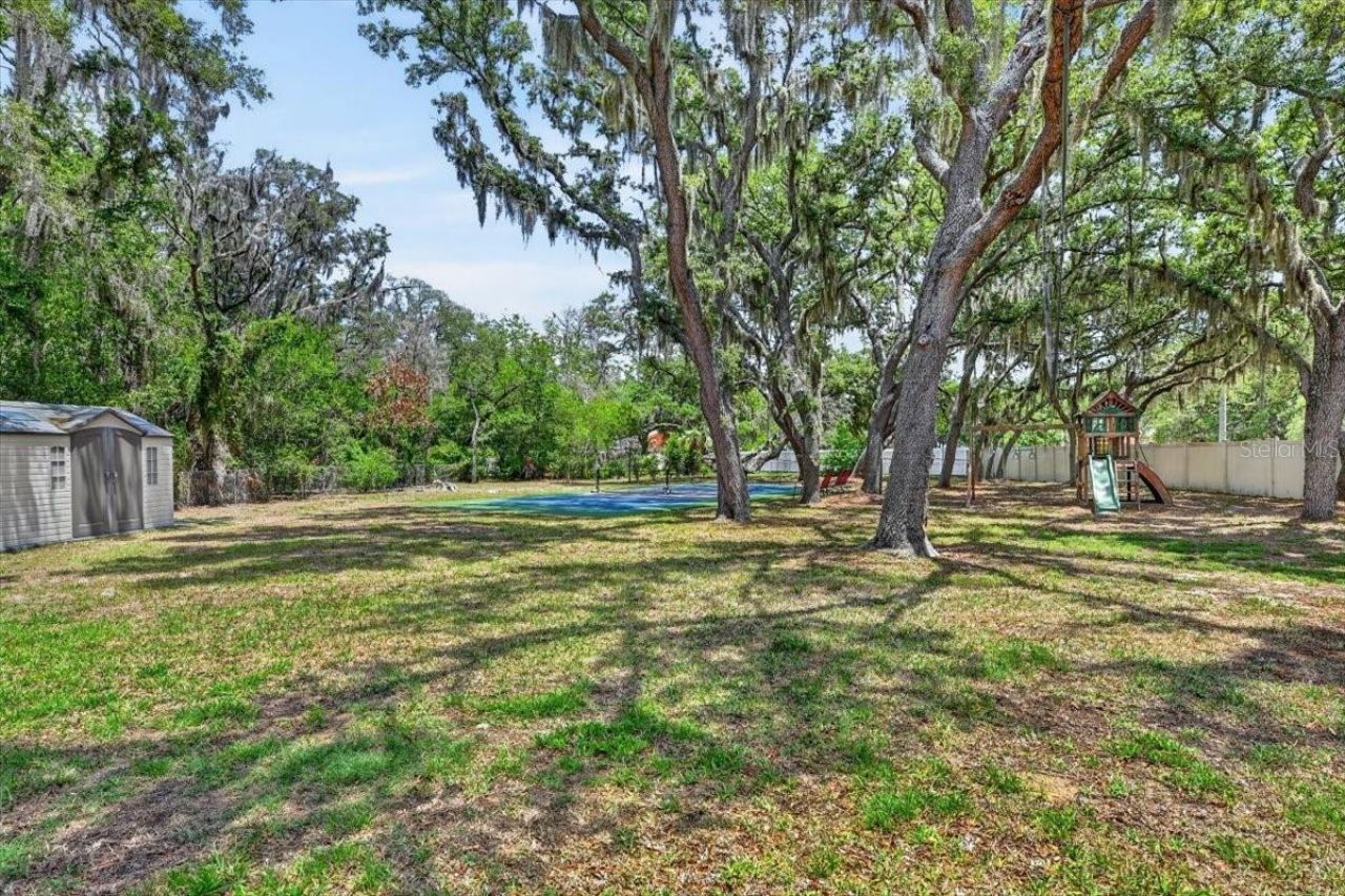 11214 Leprechaun Drive, Riverview, FL 33569 Photo