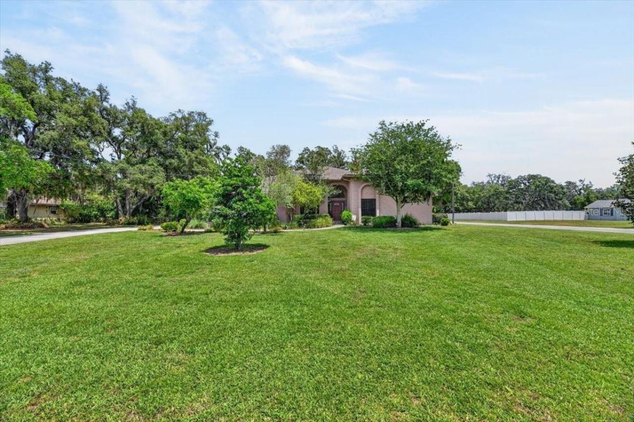 11214 Leprechaun Drive, Riverview, FL 33569 Photo