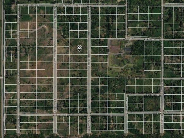 1124 S BRODIE ROAD , AVON PARK, FL 33825