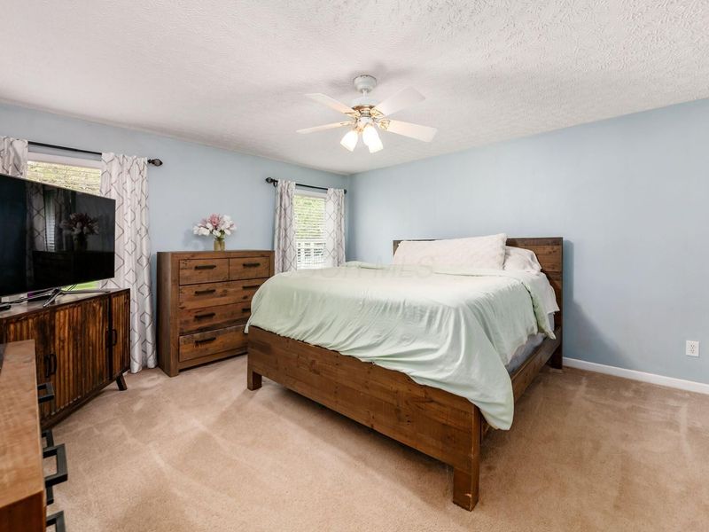 432 Zion Drive, Powell, OH 43065 Photo 19