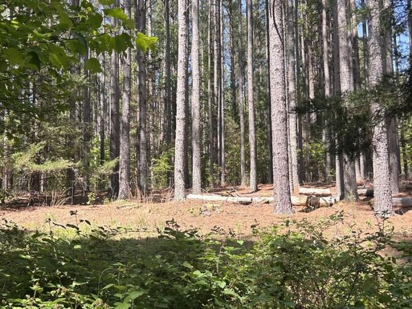 Tract 4 Foxfire LN , Bedford, VA 24523