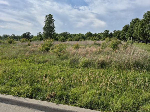 0000 Reed Station Parkway , Carbondale, IL 62901