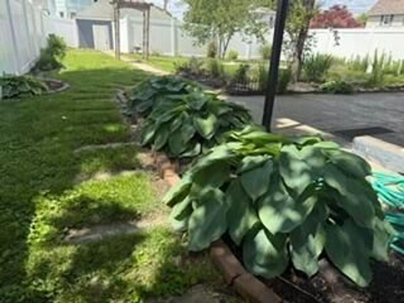 603 S Court Street, Circleville, OH 43113 Photo 28