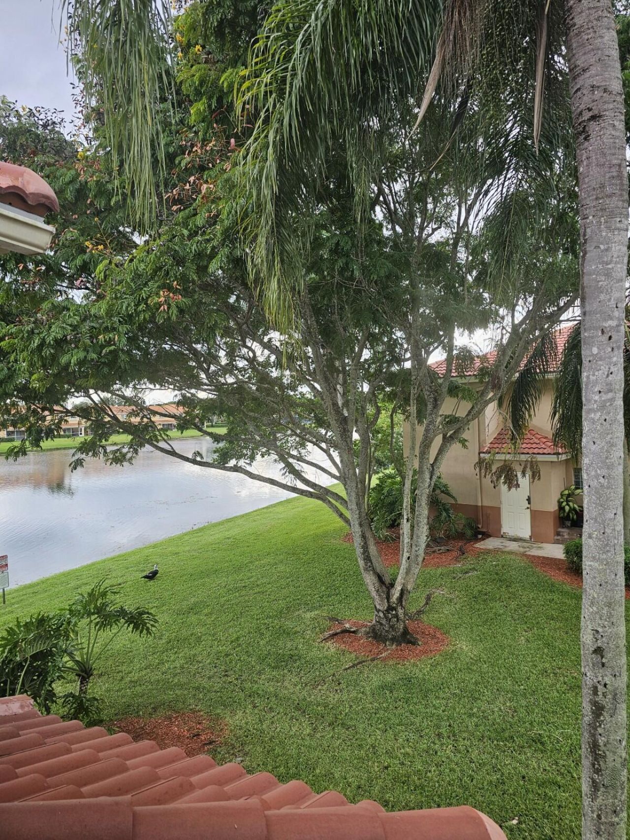 3490 Briar Bay Boulevard, Unit 206, West Palm Beach, FL 33411 Photo