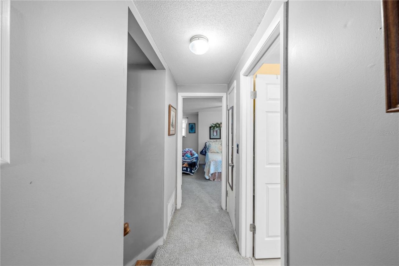 11690 SE 132nd Street Road, Ocklawaha, FL 32179 Photo