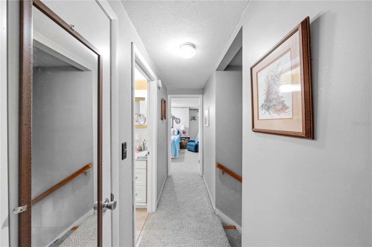 11690 SE 132nd Street Road, Ocklawaha, FL 32179 Photo