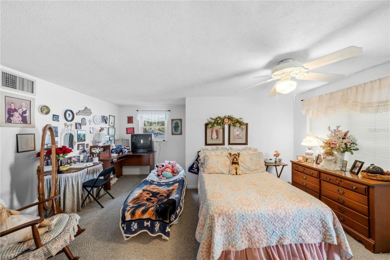 11690 SE 132nd Street Road, Ocklawaha, FL 32179 Photo