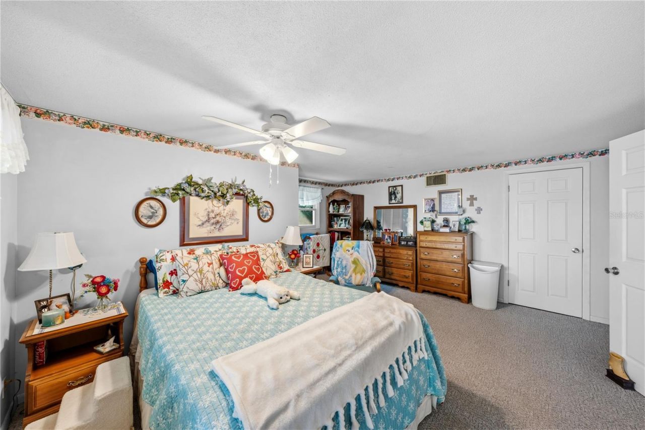 11690 SE 132nd Street Road, Ocklawaha, FL 32179 Photo