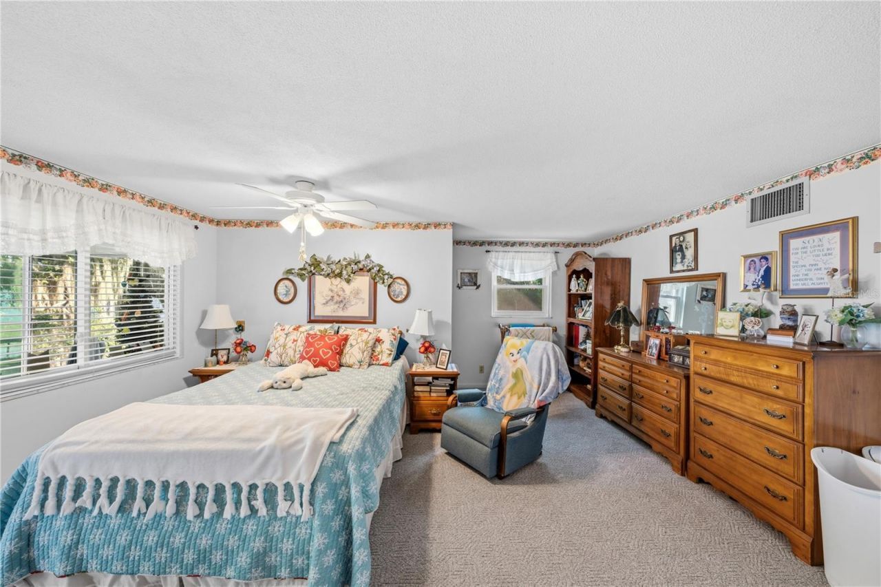 11690 SE 132nd Street Road, Ocklawaha, FL 32179 Photo