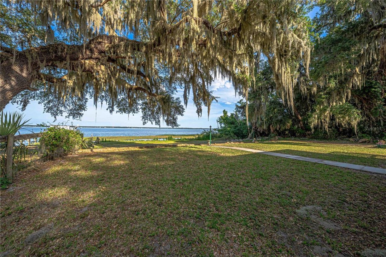 11690 SE 132nd Street Road, Ocklawaha, FL 32179 Photo
