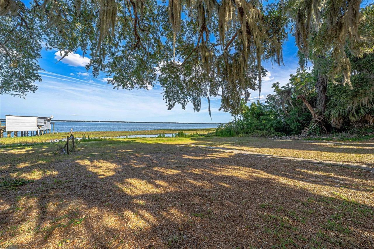 11690 SE 132nd Street Road, Ocklawaha, FL 32179 Photo