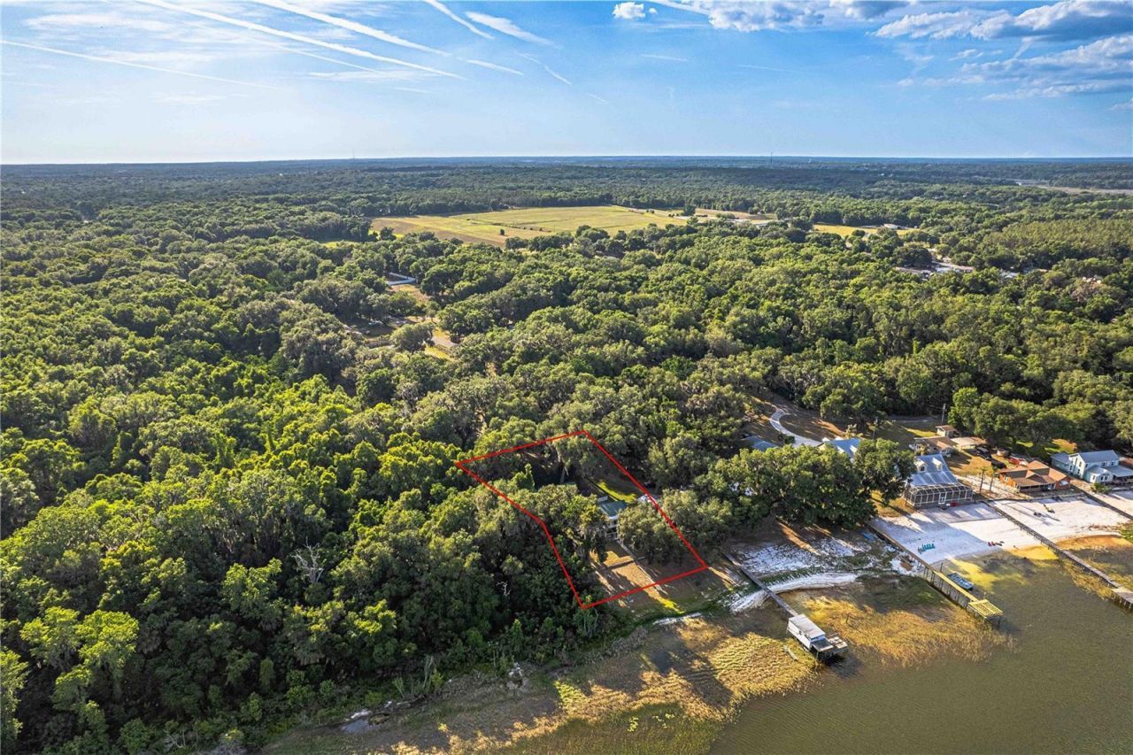 11690 SE 132nd Street Road, Ocklawaha, FL 32179 Photo