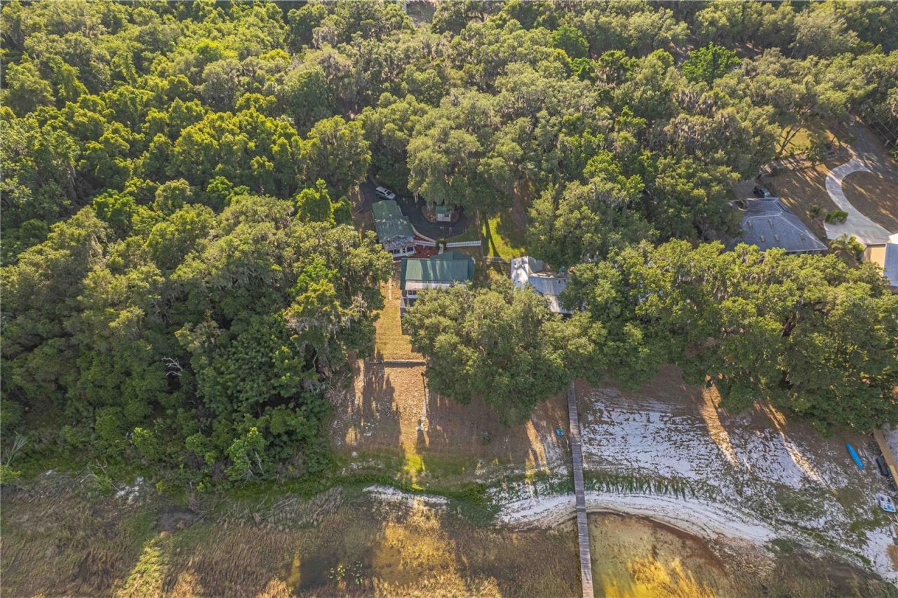 11690 SE 132nd Street Road, Ocklawaha, FL 32179 Photo