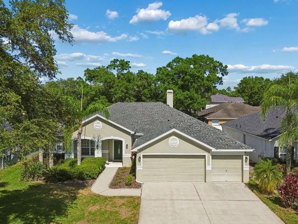 15217 OCTAVIA LANE , ODESSA, FL 33556