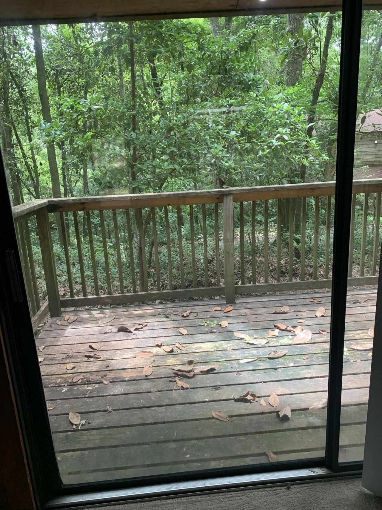 307 Vantage Point Lane, Unit 33, Tallahassee, FL 32301 Photo